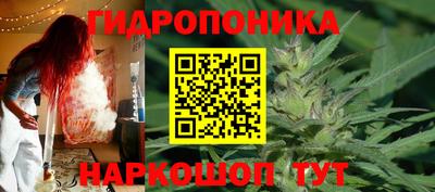 индика Кумертау