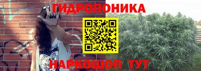 сатива Кулебаки