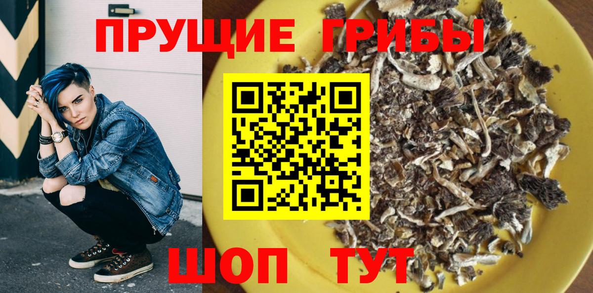 Галлюциногенные грибы Psilocybe Дедовск